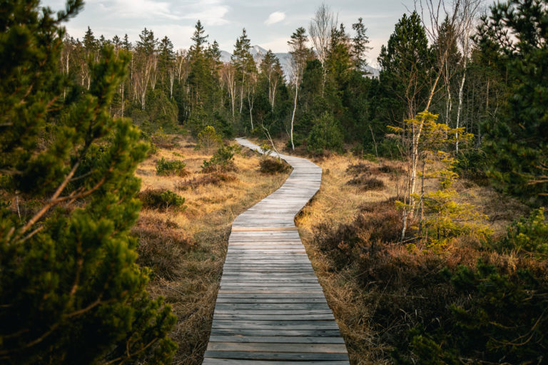 Mindfulness para profesionales