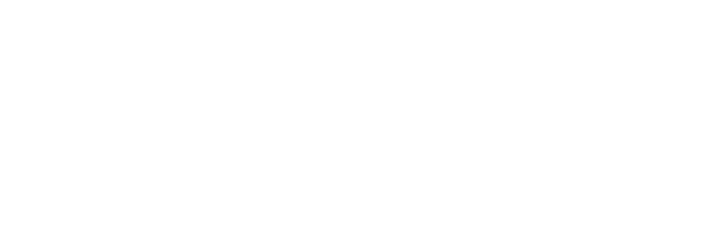 Acelerador del Talento Directivo INFOVA